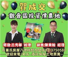 ☆成交~觀音區投資價農地☆